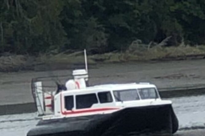 Hover Craft Scenic Tour in Talkeetna, Alaska - Exploring Talkeetna Beyond the Tour