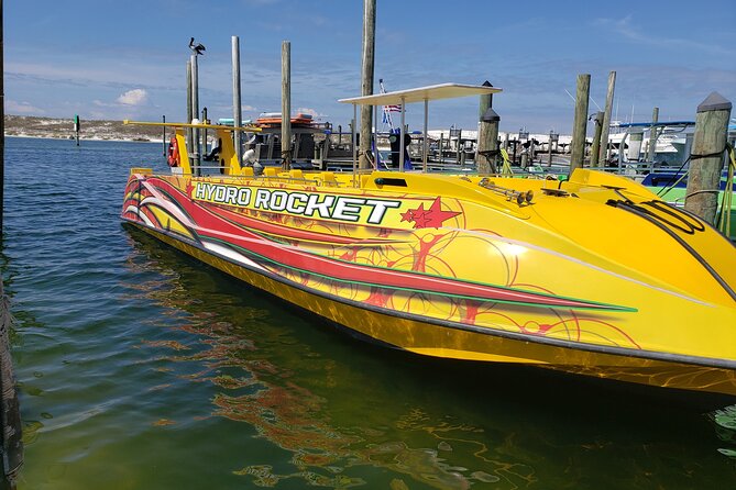 Hydro Rocket Dolphin Sightseeing Boat Tour From Destin - Seeing Dolphins in Their Natural Habitat