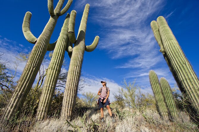 Incredible Hidden Valley Guided Hike in Phoenix, Arizona - Getting to the Meeting Point