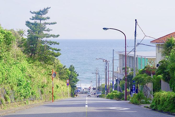 Introducing All the Famous Spots in Kamakura and Enoshima! - Efficient Travel With Guided Navigation