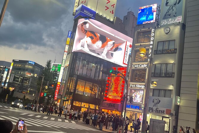 Japan 5 Days Private Tours All Included at Tokyo Osaka Kyoto Nara - Whats Included in the Tour