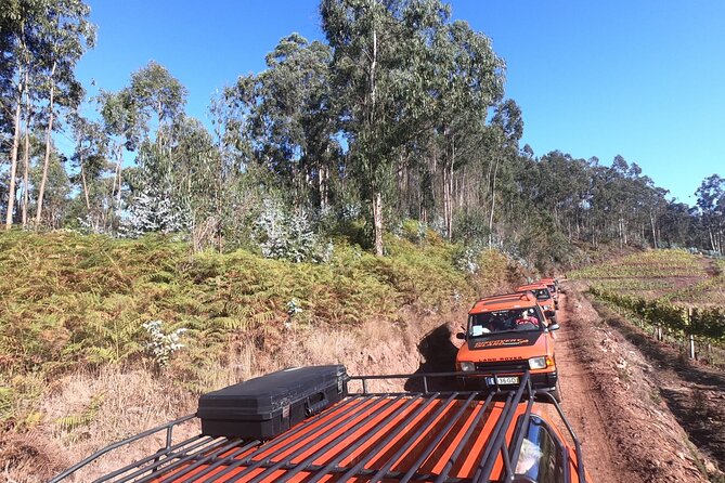 Jeep Tour Câmara De Lobos - Half Day - Nearby Attractions