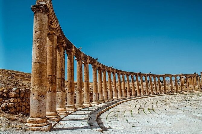 Jerash Ruins Full-Day Private Tour From Amman or Airport - Customer Reviews and Ratings