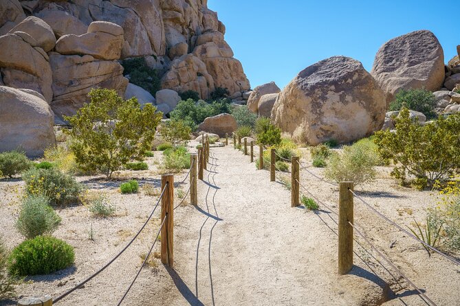 Joshua Trees Hidden Valley Self-Guided Walking Tour - Preparing for the Tour: App and Setup