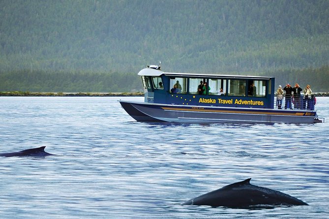 Juneau Whale Watching Adventure - Pricing and Inclusions