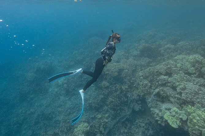 Kaimana Kealakekua Bay Captain Cook Adventure - Discovering Hawaiis Marine Ecosystem