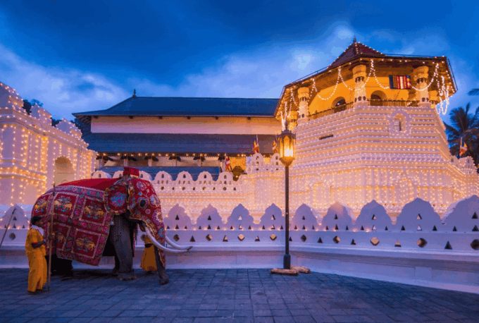 Kandy: Esala Perahera Festival Ticket 2024- August 15th-19th - Dates and Pricing