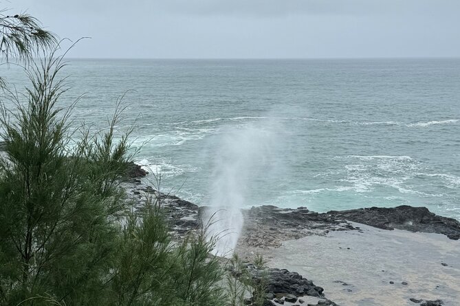 Kauai Shore Excursion - Waimea Canyon Adventure Tour - Nawiliwili - Guest Feedback and Recommendations
