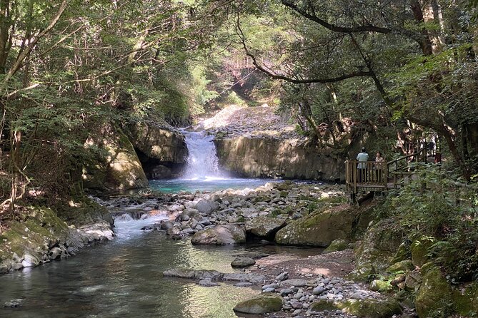 Kawazu Seven Falls Guided Tour - Getting to the Kawazu Seven Falls