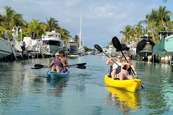 Kayak Through Mangrove Forests Review - Customer Satisfaction and Positive Reviews
