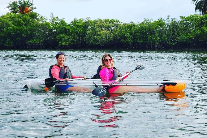 Kayaking Clear Through Clearwater - Customer Feedback and Experiences