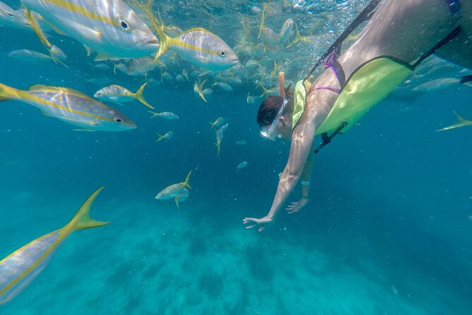 Key West Island Eco Tour With Transportation From Miami - Mangrove Kayaking Adventure
