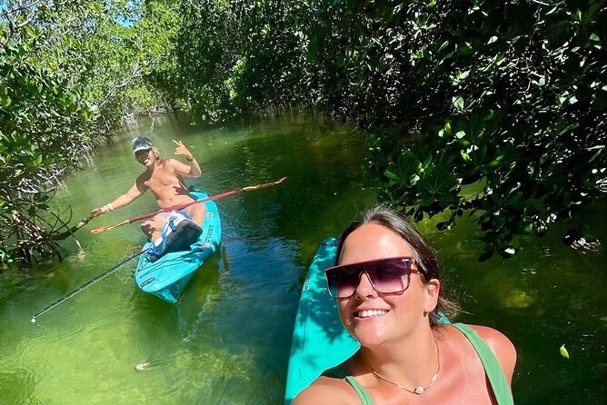 Key West Kayak Eco Tour | An Eco-Friendly Adventure Awaits! - Spotting Wildlife