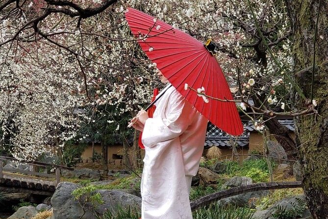 Kimono Tokyo Tour - Customer Feedback and Experiences