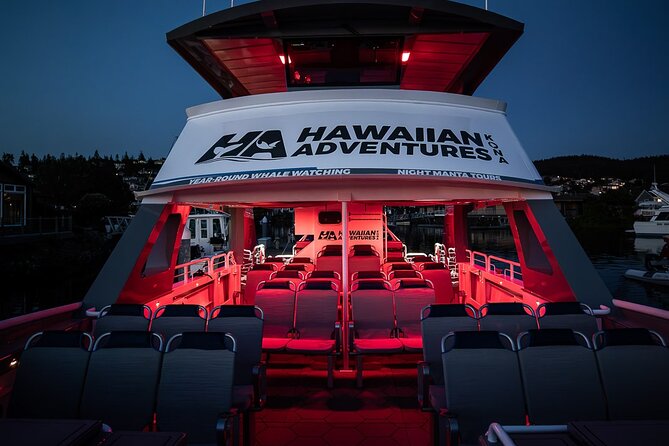 Kona Night Manta Snorkel Tour - What to Expect During the Tour