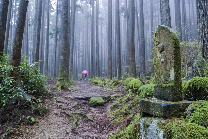Kumano Kodo Pilgrimage Tour With Licensed Guide & Vehicle - Positive Customer Reviews