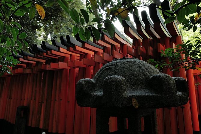 Kyoto Fushimi Inari Night Walking Tour - Additional Information for Participants