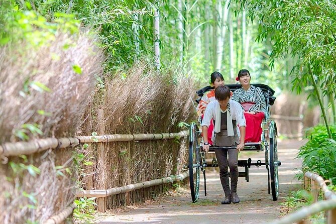 Kyoto/Osaka: Kyoto and Nara Customized Private Guided Tour - Highlights of the Kyoto Experience