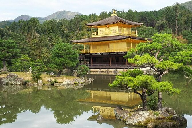Kyoto, Osaka, Nara Full Day Tour by Car English Speaking Driver - Feedback and Reviews