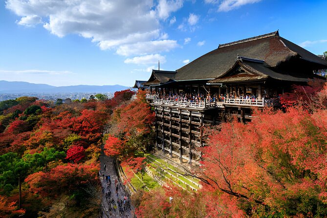 Kyoto Private Tour With Pick and Drop - Exploring Arashiyama