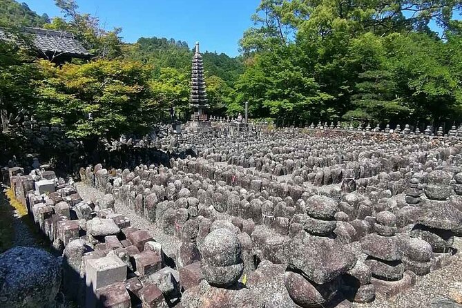 Kyoto Sakura & Hidden Gems of Timeless Tradition - Reviews