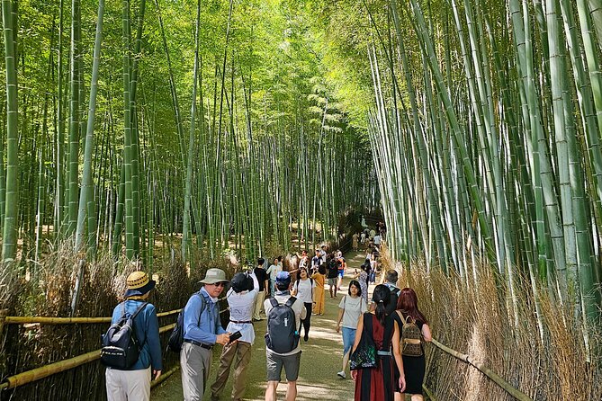 Kyotos Arashiyama Bamboo Grove: 3-Hour Guided Tour - Visiting Okochi Sanso and Tenryuji
