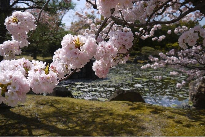 Kyotos World Heritage Walking Tour From Kyoto St. - Cancellation and Responsibility