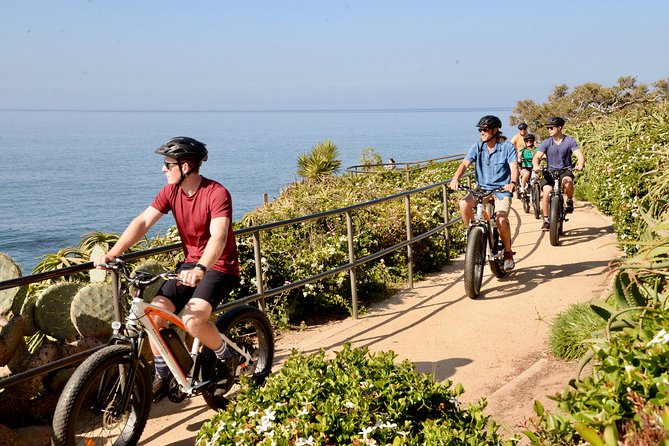 Laguna Beach Kayak Tour With Sea Lion Viewing - Considerations for Travelers
