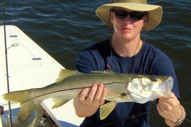 Lake Berryessa Fishing Charters - Wildlife Encounters