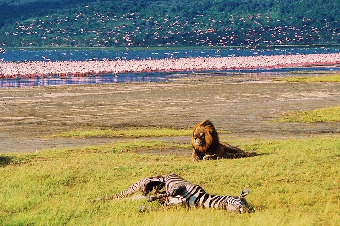 Lake Nakuru National Park: Day Trip From Nairobi - Planning Your Day Trip