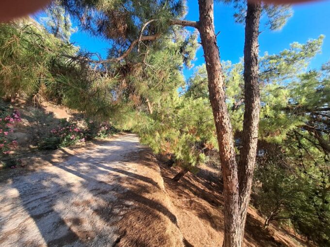 Laugh With Nafplio in Nature - Benefits of Laughter Yoga