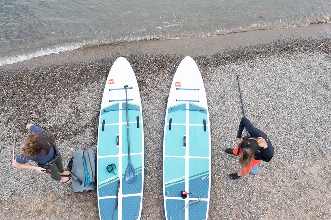 Learn to Paddle Board on the San Francisco Bay! - Mastering Basic Techniques