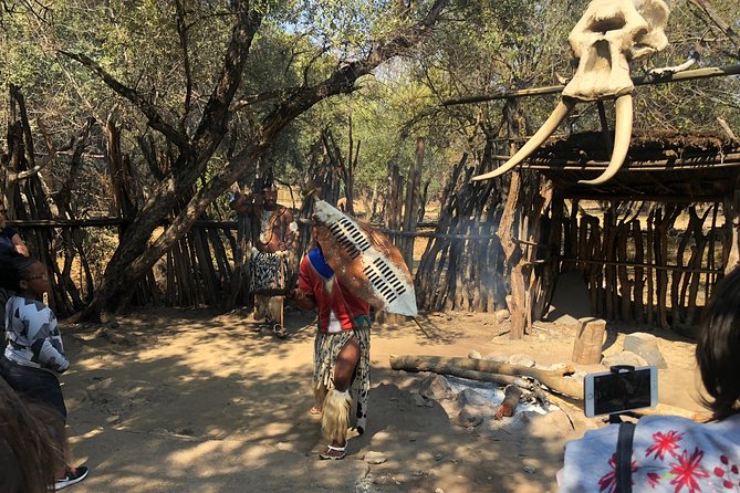 Lesedi Cultural Village Tour With Lunch From Johannesburg - Tips for Travelers