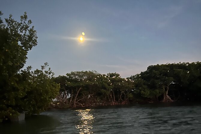Let's Paddle! Jupiter Experience Review - Frequently Asked Questions