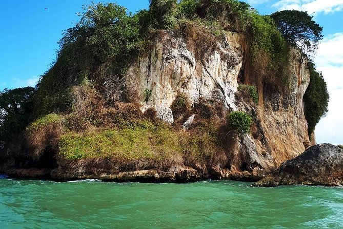 Los Haitises National Park Private Boat Trip Caves and Mangroves - Tour Information and Logistics