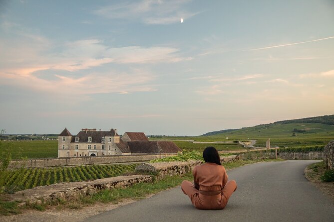 Luxurious Wine Tour in Burgundy - Pricing and Booking Information