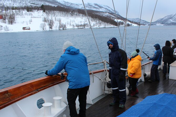 Luxury Arctic Fishing Trip and Seafood Fjord Cruise in Tromsø - Discovering Norwegian Culinary Traditions