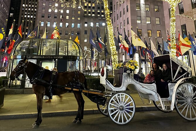 Luxury Horse and Carriage Tours in Central Park - Exploring Central Park