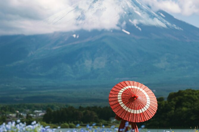 Majestic Mount Fuji: Exclusive Private Day Tour - Culinary Experience: Indulging in Hot Pot Lunch