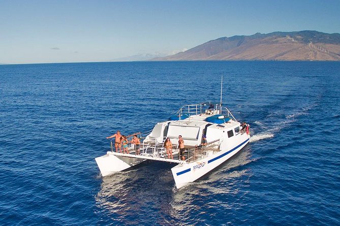 Malolo Whale Watch Cruise Review - Scenic Sunset and Local History Commentary