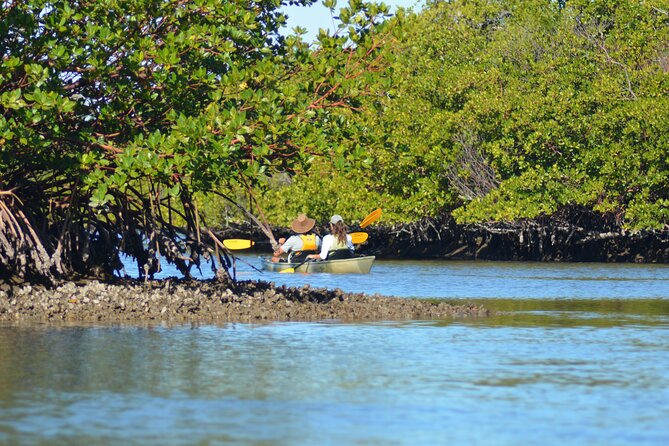 Marco Island Mangrove Tunnel and Maze Adventure Small Group Size - Discover the Mangrove Tunnel
