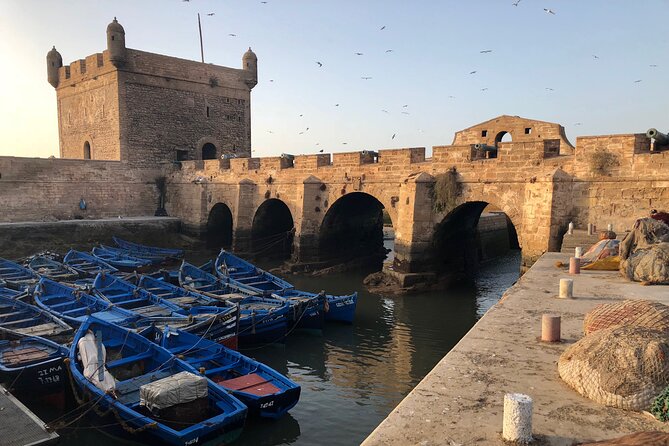 Marrakech Day Trip to Essaouira - Horseback, Camel Ride, ATV on the Beach - Pricing Details and Payment Options