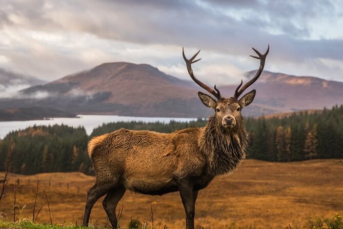Meandering Through the Highlands of Scotland (North) - Navigating the Tour Itinerary