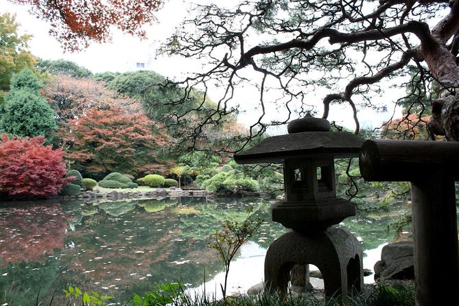 Meiji Jingu Shrine Half-Day Tour by Public Transportation - Cultural Immersion Experiences