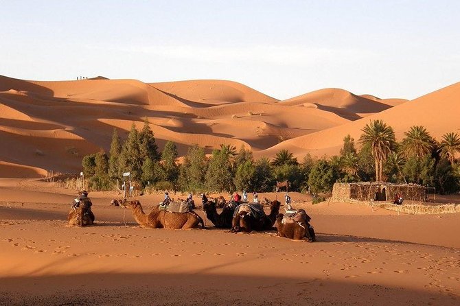 Merzouga Circuit 4 Days From Marrakech - Booking Process