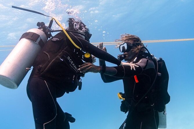 Mesmerizing Private SCUBA Diving Charter Review - Frequently Asked Questions