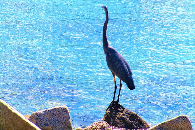 Miami Beach: South Point Park Tour Review - The Sum Up