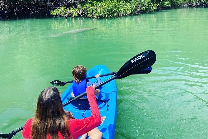 Miami Kayak and Paddleboard Rentals in Virginia Key - Health and Safety Considerations