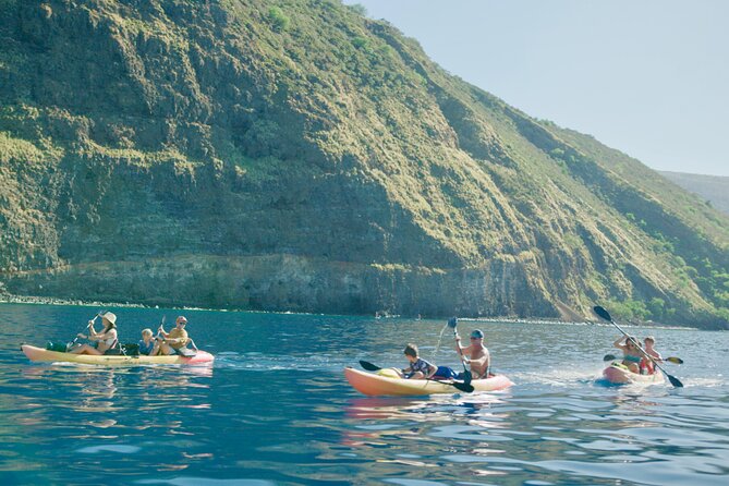 Midday Meander - Kealakekua Bay Kayak and Snorkel Adventure - Exploring Kealakekua Bay