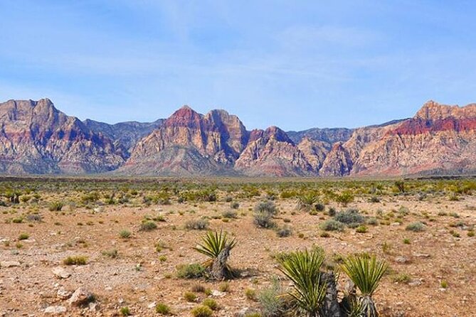 Mojave Desert Walking Trip Review - Insights From Fellow Travelers